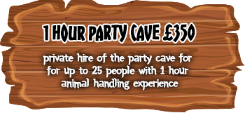 1-hour-party-cave1 1 Hour Party Cave Hire