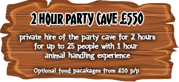 2-hour-party-cave1 2 Hour Party Cave Hire
