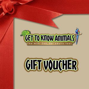 gift-voucher Gift Voucher