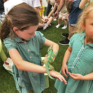 schools-and-nurseries-2 Schools and Nurseries