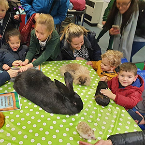 schools-and-nurseries-3 Schools and Nurseries