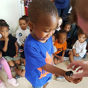 schools-and-nurseries-4 Schools and Nurseries