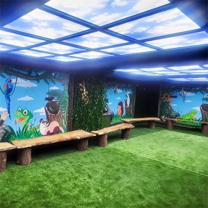 Party Cave
