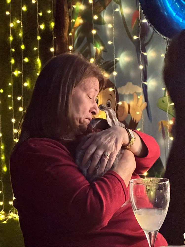 party-cave-animal-handling