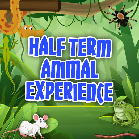 halfterm23