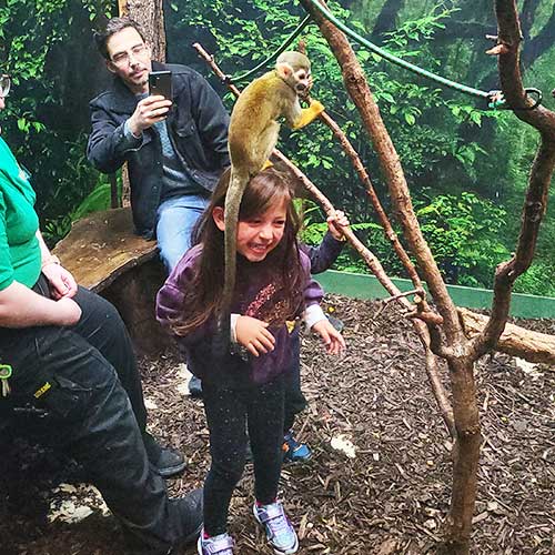 SquirrelMonkey-4