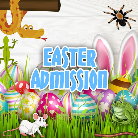 easter-admission