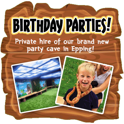 Epping Birthday Parties
