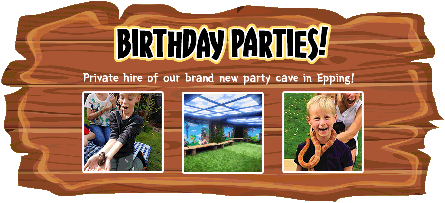 GTKA Birthday Parties